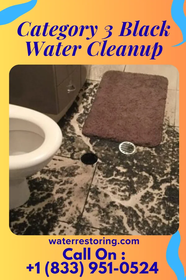 Category 3 Black Water Cleanup in Bushyhead, OK
